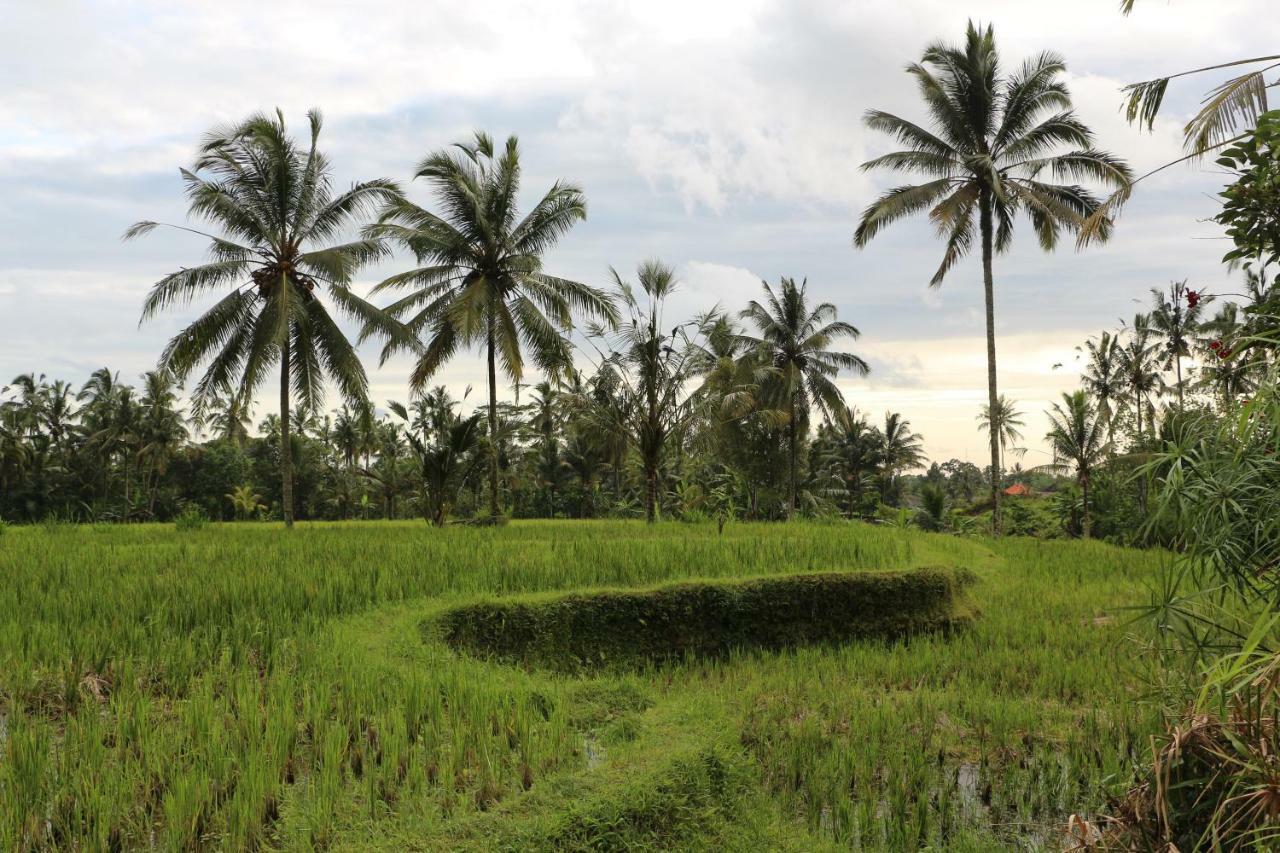 The Alise Villa Tegallalang  Bagian luar foto