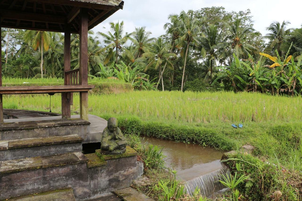 The Alise Villa Tegallalang  Bagian luar foto