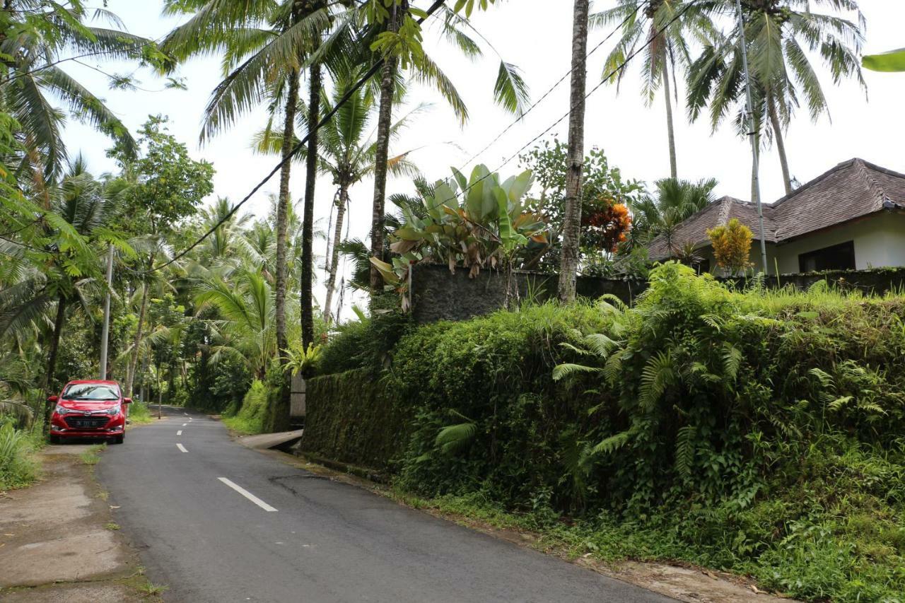 The Alise Villa Tegallalang  Bagian luar foto