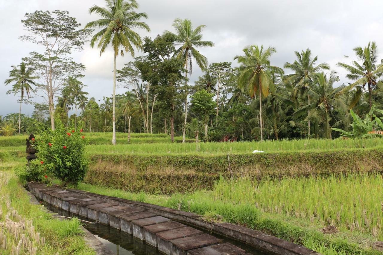 The Alise Villa Tegallalang  Bagian luar foto