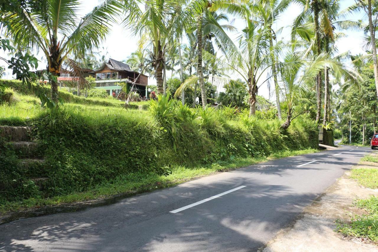 The Alise Villa Tegallalang  Bagian luar foto