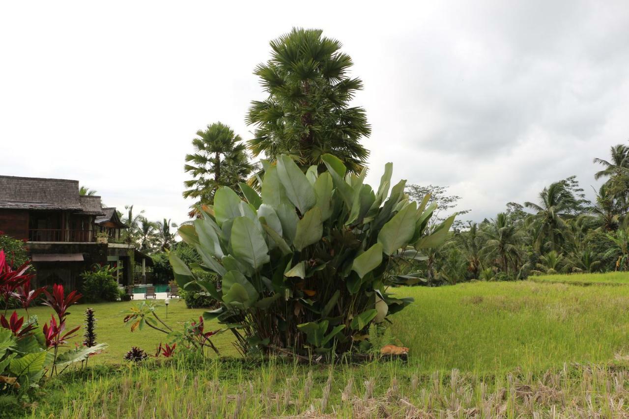 The Alise Villa Tegallalang  Bagian luar foto